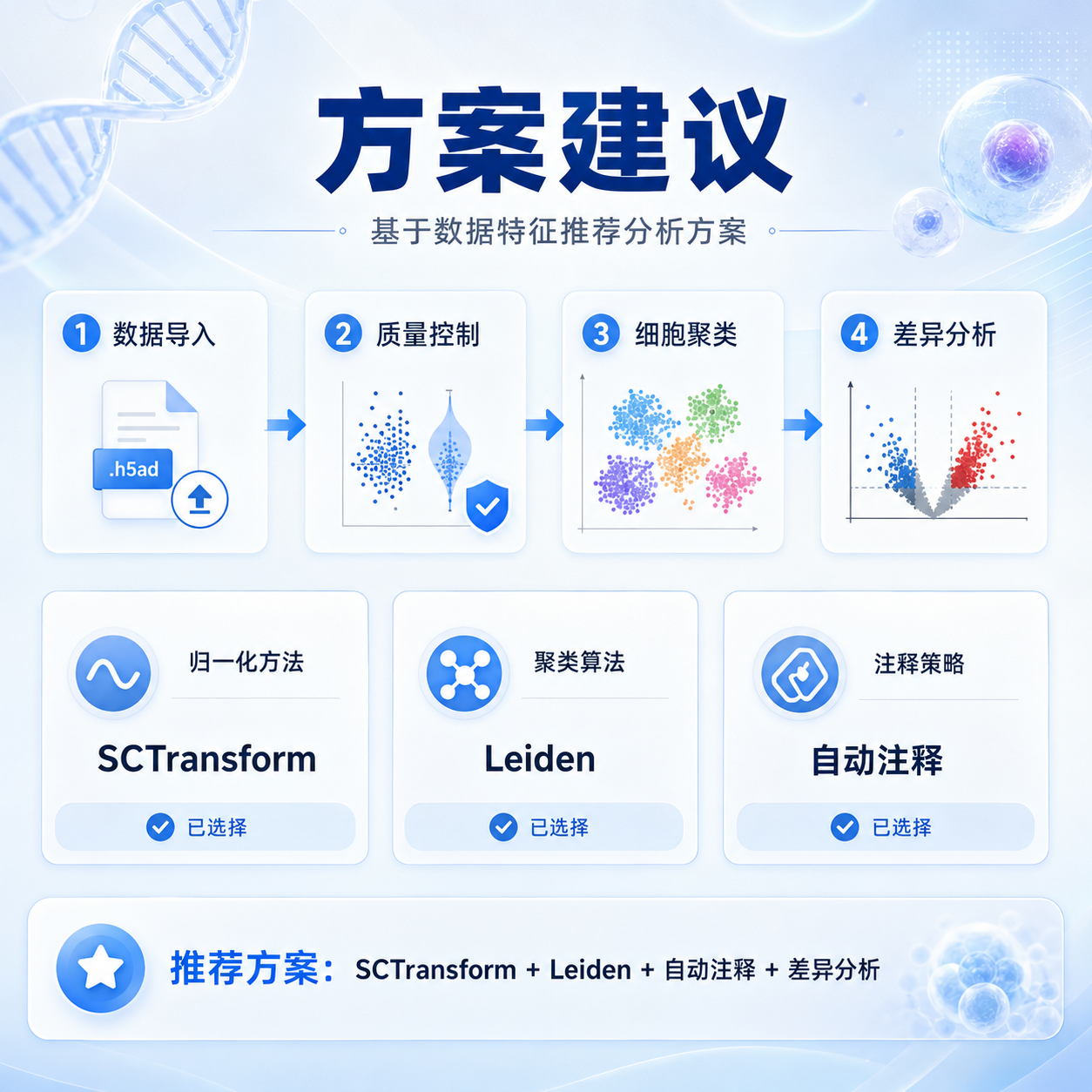 研究路径与方案建议示意