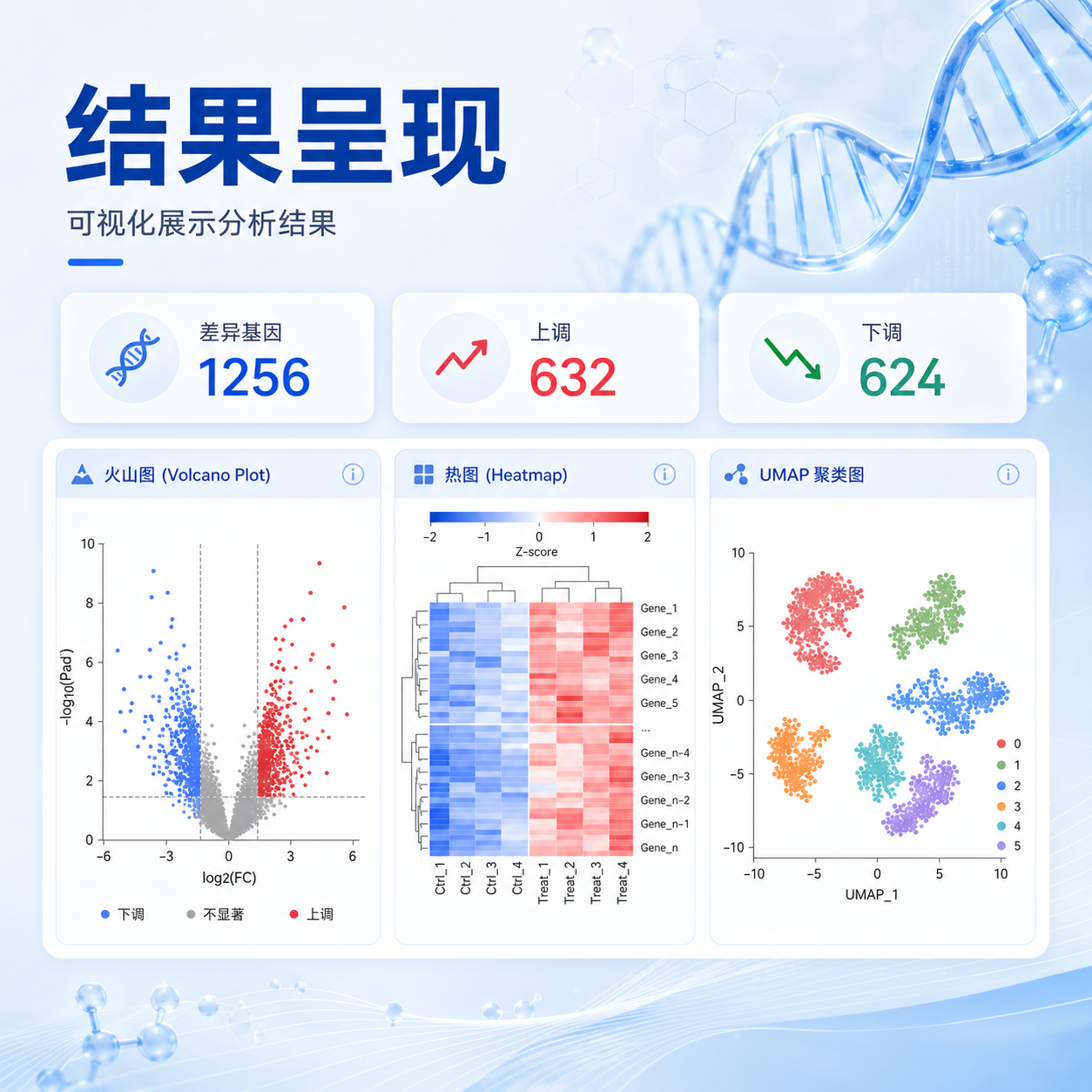 科研结果整理与可视化示意