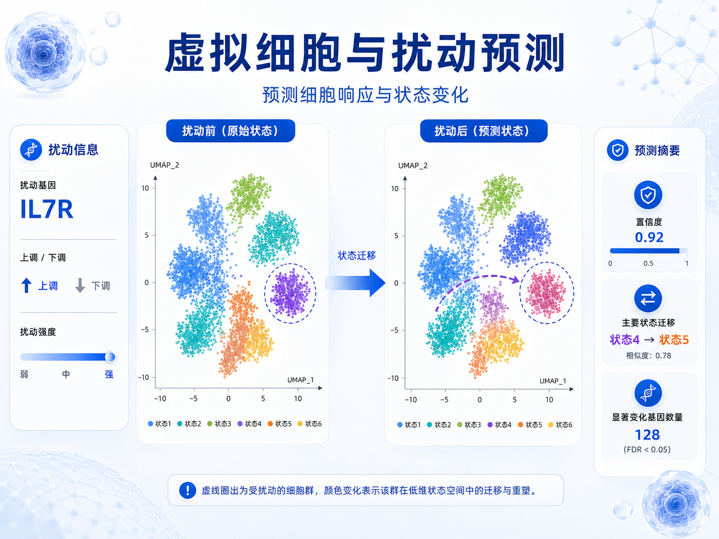 Scipilot 扰动分析场景
