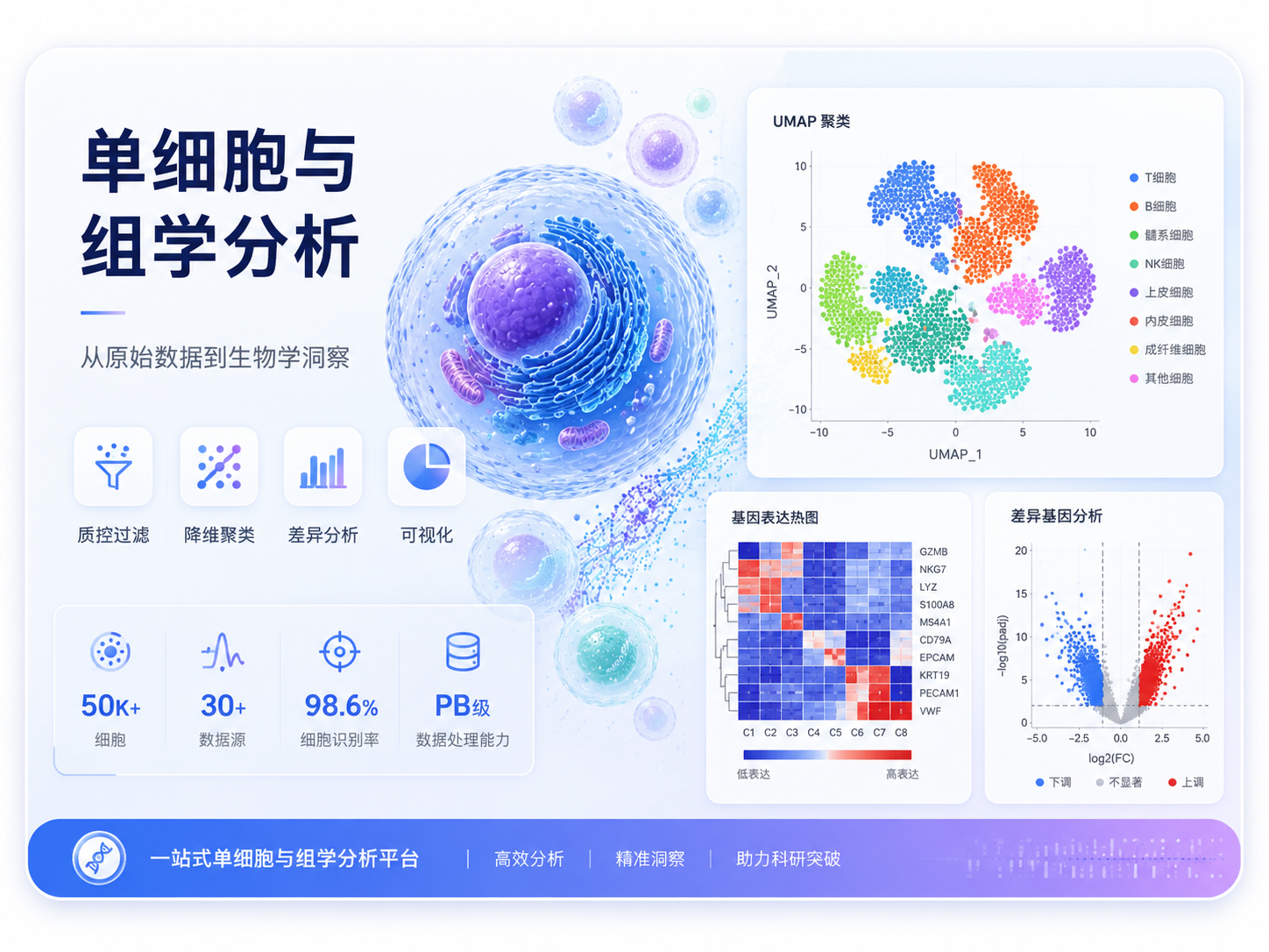 Scipilot 单细胞 RNA 分析场景